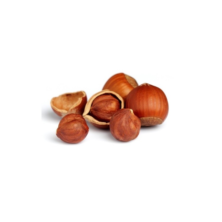 Noisettes Coques (500g)