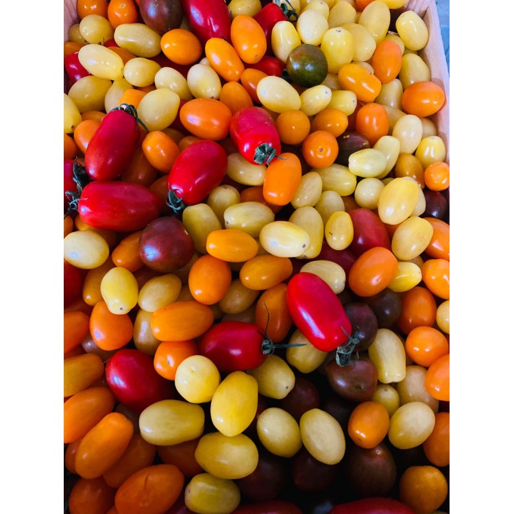 Tomates cerises mixtes (1kg)