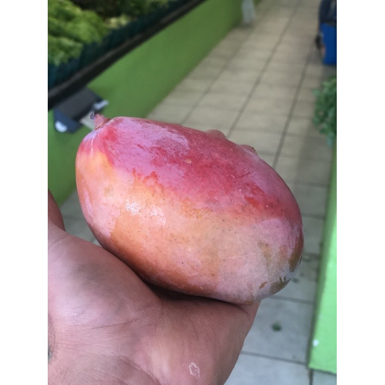 Mangue (par 3)