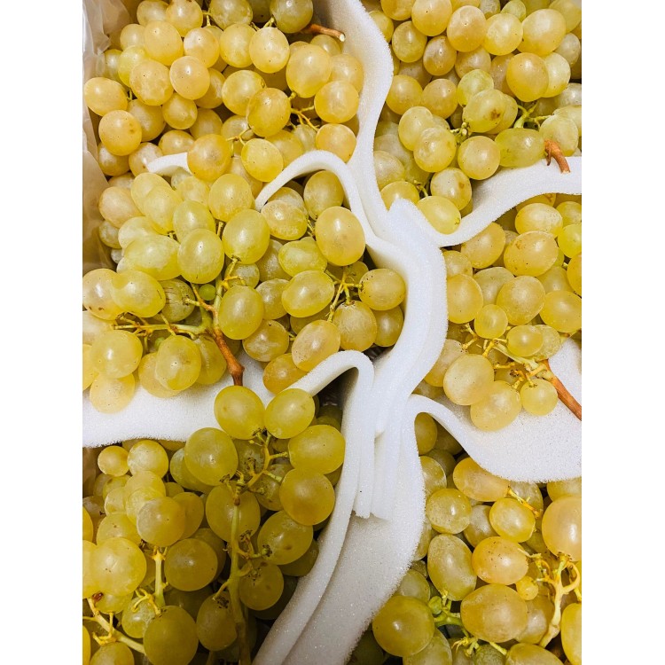 Raisin Blanc Aledo (1kg)