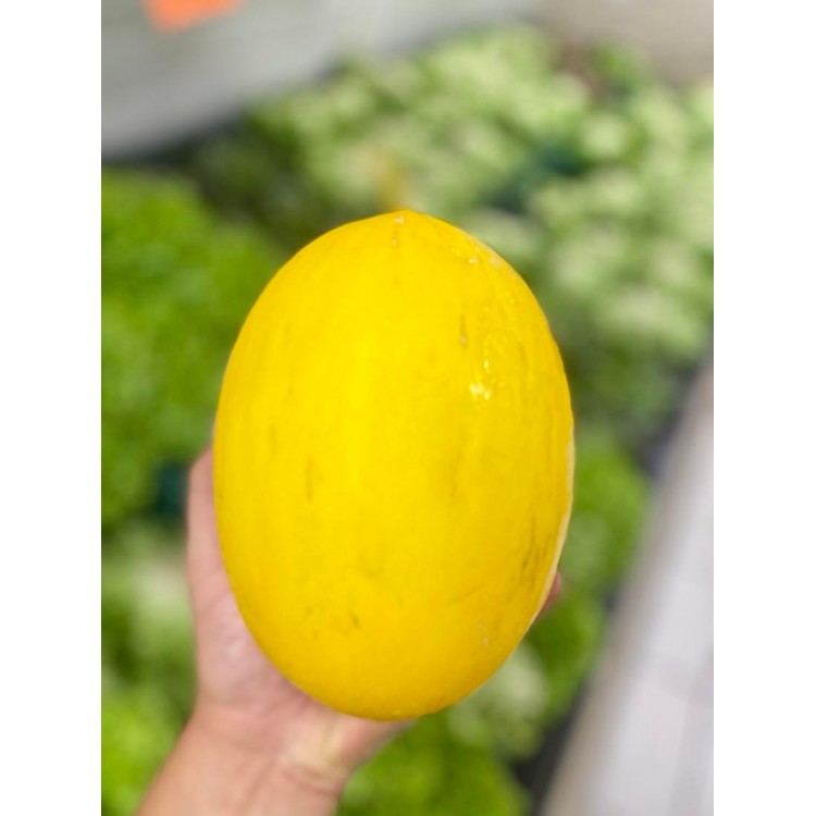 Melon Cannari (1kg environ)