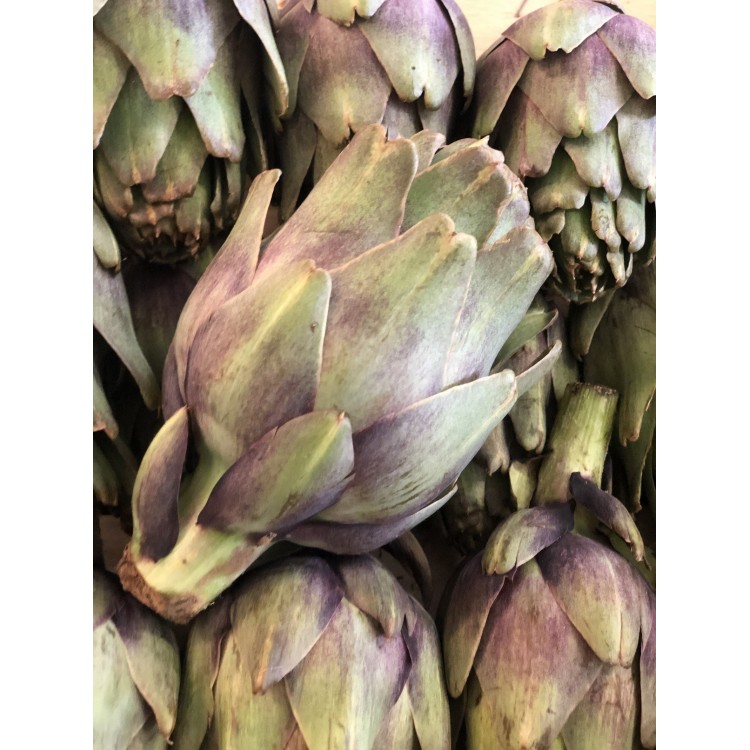 Artichaut Violet (pièce)