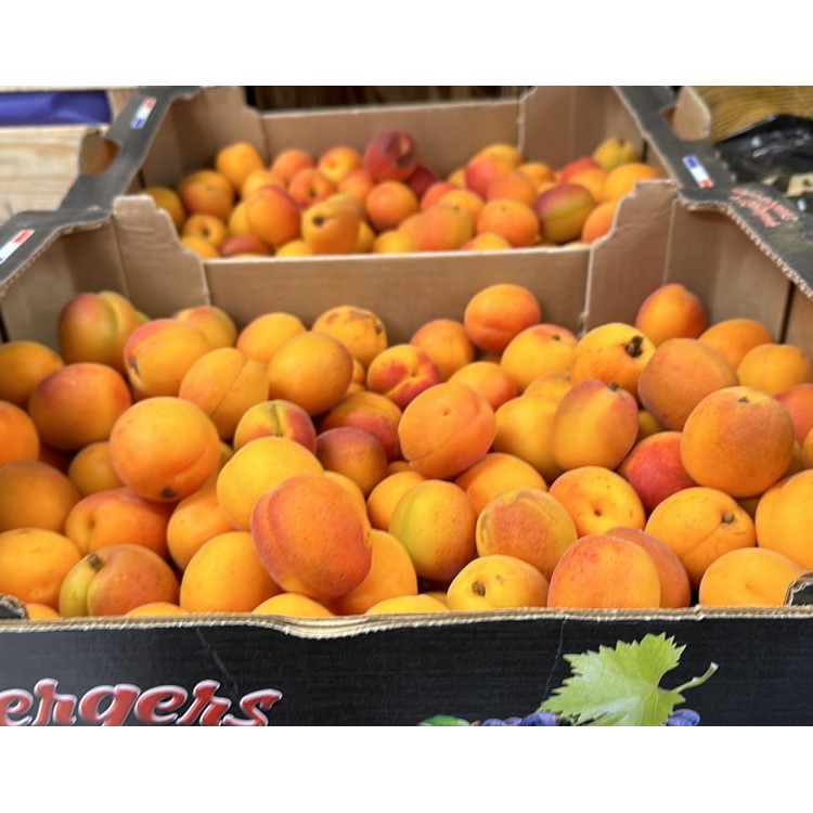 Abricots Pour Confiture (5kg)