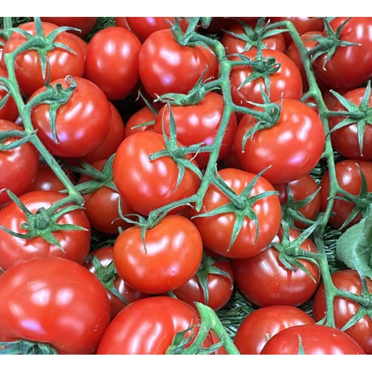 Tomates Gustatives (1kg)