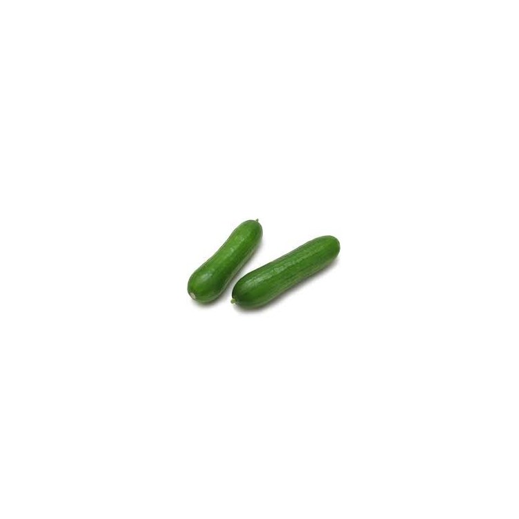 Concombre Libanais (5 pièces)