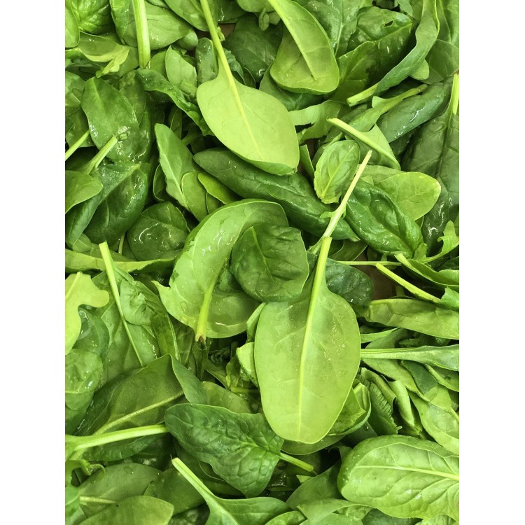 Pousses d'épinards (250g)