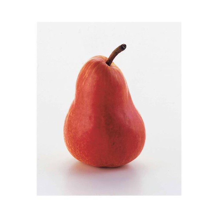 William Rouge (1kg)